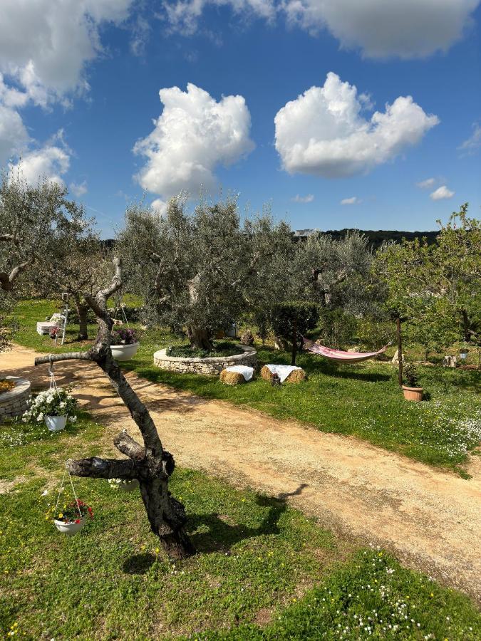 Гостьовий будинок Trulli Barsento Альберобелло Екстер'єр фото