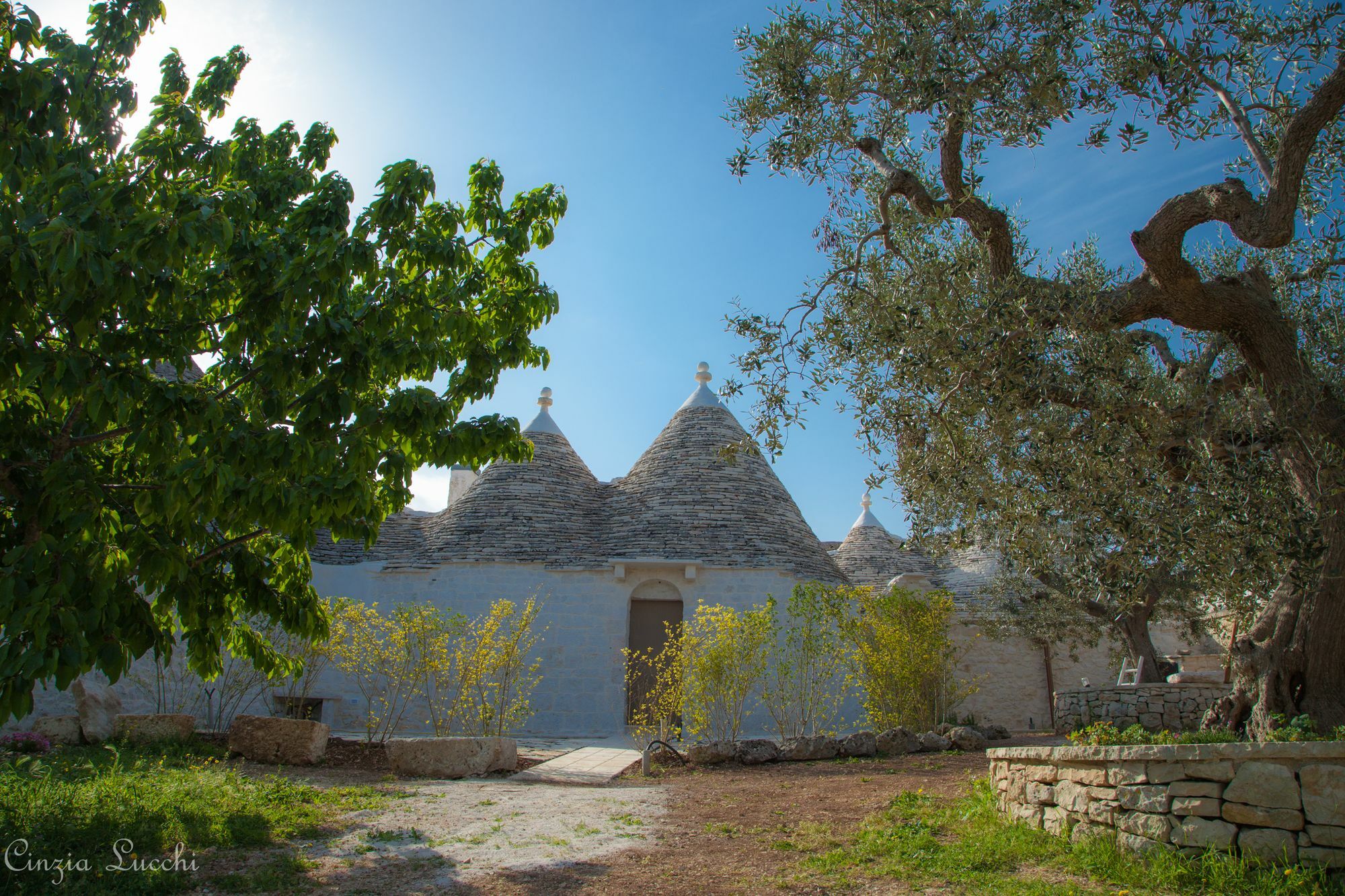 Гостьовий будинок Trulli Barsento Альберобелло Екстер'єр фото